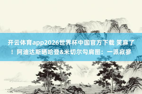 开云体育app2026世界杯中国官方下载 笑麻了!阿迪达斯晒哈登&米切尔勾肩图:一派寂寥