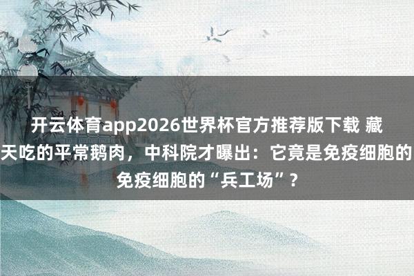 开云体育app2026世界杯官方推荐版下载 藏不住了!天天吃的平常鹅肉,中科院才曝出:它竟是免疫细胞的“兵工场”?