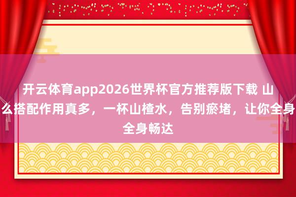 开云体育app2026世界杯官方推荐版下载 山楂这么搭配作用真多，一杯山楂水，告别瘀堵，让你全身畅达