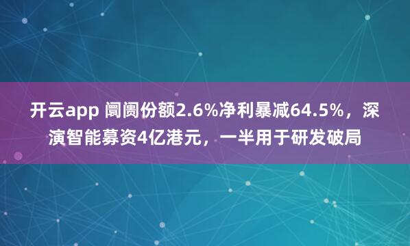 开云app 阛阓份额2.6%净利暴减64.5%,深演智能募资4亿港元,一半用于研发破局