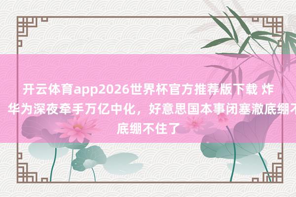 开云体育app2026世界杯官方推荐版下载 炸锅了!华为深夜牵手万亿中化,好意思国本事闭塞澈底绷不住了