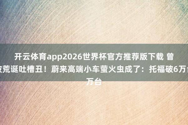 开云体育app2026世界杯官方推荐版下载 曾被荒诞吐槽丑!蔚来高端小车萤火虫成了:托福破6万台