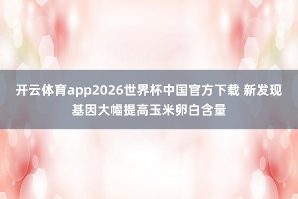 开云体育app2026世界杯中国官方下载 新发现基因大幅提高玉米卵白含量