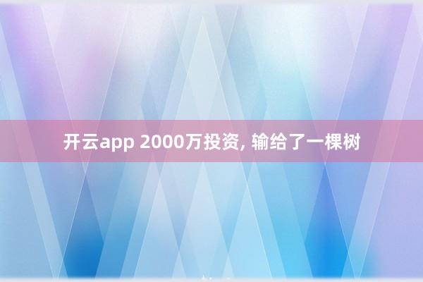 开云app 2000万投资, 输给了一棵树