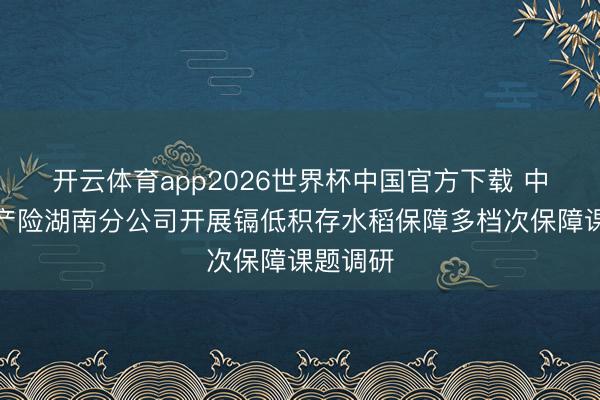 开云体育app2026世界杯中国官方下载 中国太保产险湖南分公司开展镉低积存水稻保障多档次保障课题调研